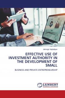 EFFECTIVE USE OF INVESTMENT AUTHORITY IN THE DEVELOPMENT OF SMALL