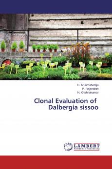 Clonal Evaluation of Dalbergia sissoo