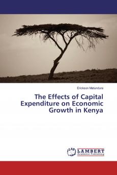 The Effects of Capital Expenditure on Economic Growth in Kenya