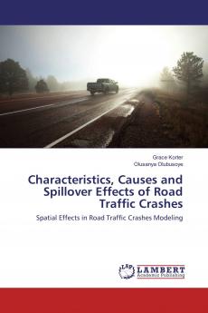 Characteristics Causes and Spillover Effects of Road Traffic Crashes