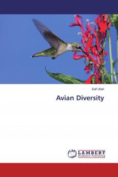 Avian Diversity