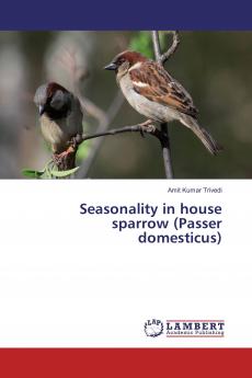 Seasonality in house sparrow (Passer domesticus)