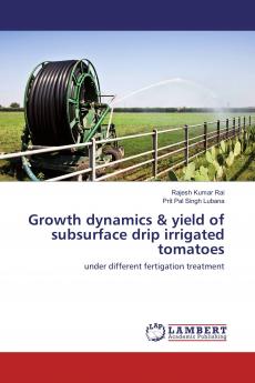Growth dynamics & yield of subsurface drip irrigated tomatoes