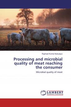 Processing and microbial quality of meat reaching the consumer