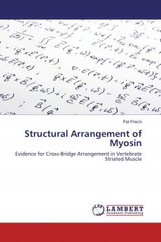 Structural Arrangement of Myosin