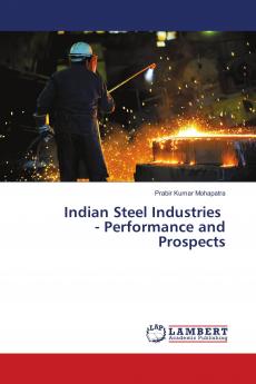 Indian Steel Industries - Performance and Prospects