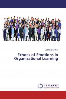 Echoes of Emotions in Organizational Learning