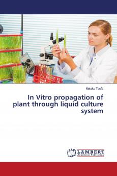In Vitro propagation of plant through liquid culture system