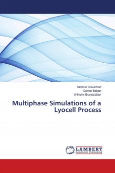 Multiphase Simulations of a Lyocell Process