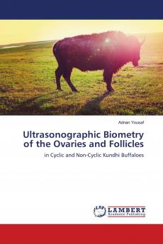 Ultrasonographic Biometry of the Ovaries and Follicles