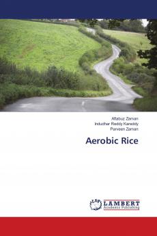 Aerobic Rice
