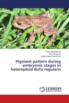 Pigment pattern during embryonic stages in heteroploid Bufo regularis