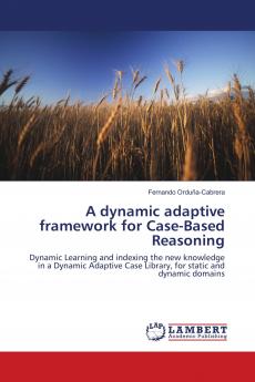 A dynamic adaptive framework for Case-Based Reasoning