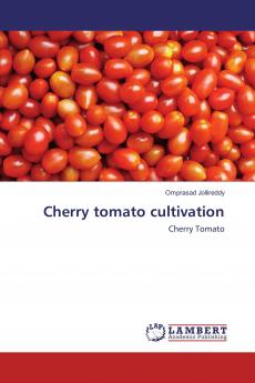 Cherry tomato cultivation