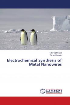Electrochemical Synthesis of Metal Nanowires