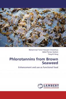 Phlorotannins from Brown Seaweed