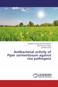 Antibacterial activity of Piper sarmentosum against rice pathogens