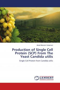 Production of Single Cell Protein (SCP) From The Yeast Candida utilis