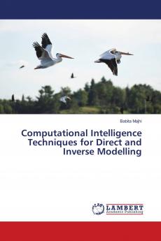 Computational Intelligence Techniques for Direct and Inverse Modelling