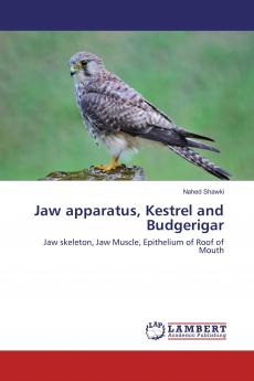 Jaw apparatus Kestrel and Budgerigar