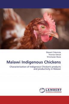 Malawi Indigenous Chickens