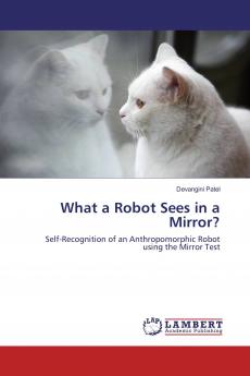 What a Robot Sees in a Mirror?