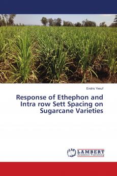 Response of Ethephon and Intra row Sett Spacing on Sugarcane Varieties