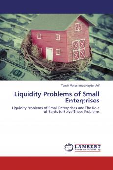 Liquidity Problems of Small Enterprises