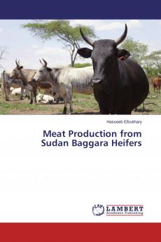 Meat Production from Sudan Baggara Heifers