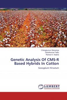 Genetic Analysis Of CMS-R Based Hybrids In Cotton