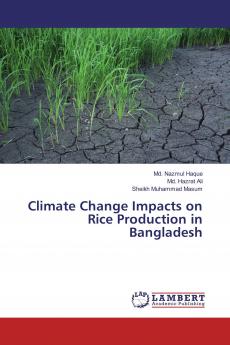 Climate Change Impacts on Rice Production in Bangladesh
