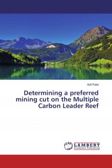 Determining a preferred mining cut on the Multiple Carbon Leader Reef