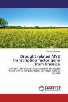 Drought related MYB transcription factor gene from Brassica