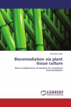 Bioremediation via plant tissue culture