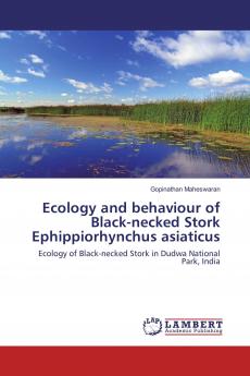 Ecology and behaviour of Black-necked Stork Ephippiorhynchus asiaticus