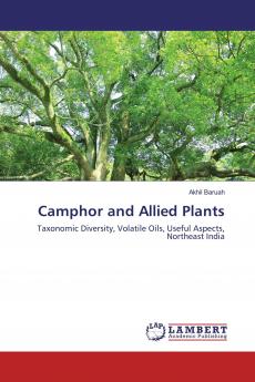 Camphor and Allied Plants