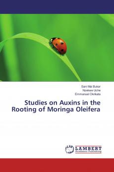 Studies on Auxins in the Rooting of Moringa Oleifera