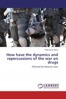 How have the dynamics and repercussions of the war on drugs
