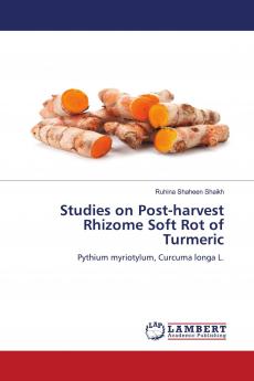 Studies on Post-harvest Rhizome Soft Rot of Turmeric