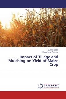 Impact of Tillage and Mulching on Yield of Maize Crop