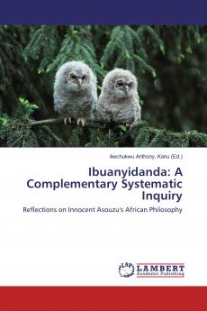 Ibuanyidanda: A Complementary Systematic Inquiry