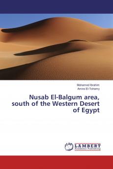 Nusab El-Balgum area south of the Western Desert of Egypt