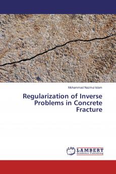 Regularization of Inverse Problems in Concrete Fracture