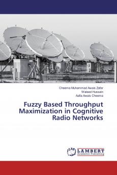Fuzzy Based Throughput Maximization in Cognitive Radio Networks