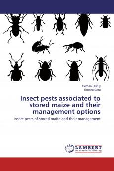 Insect pests associated to stored maize and their management options