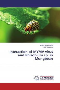 Interaction of MYMV virus and Rhizobium sp. in Mungbean