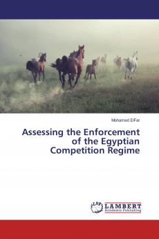 Assessing the Enforcement of the Egyptian Competition Regime