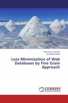 Loss Minimization of Web Databases by Fine Grain Approach