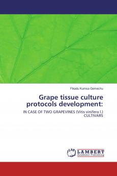 Grape tissue culture protocols development: