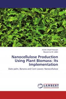 Nanocellulose Production Using Plant Biomass: Its Implementation